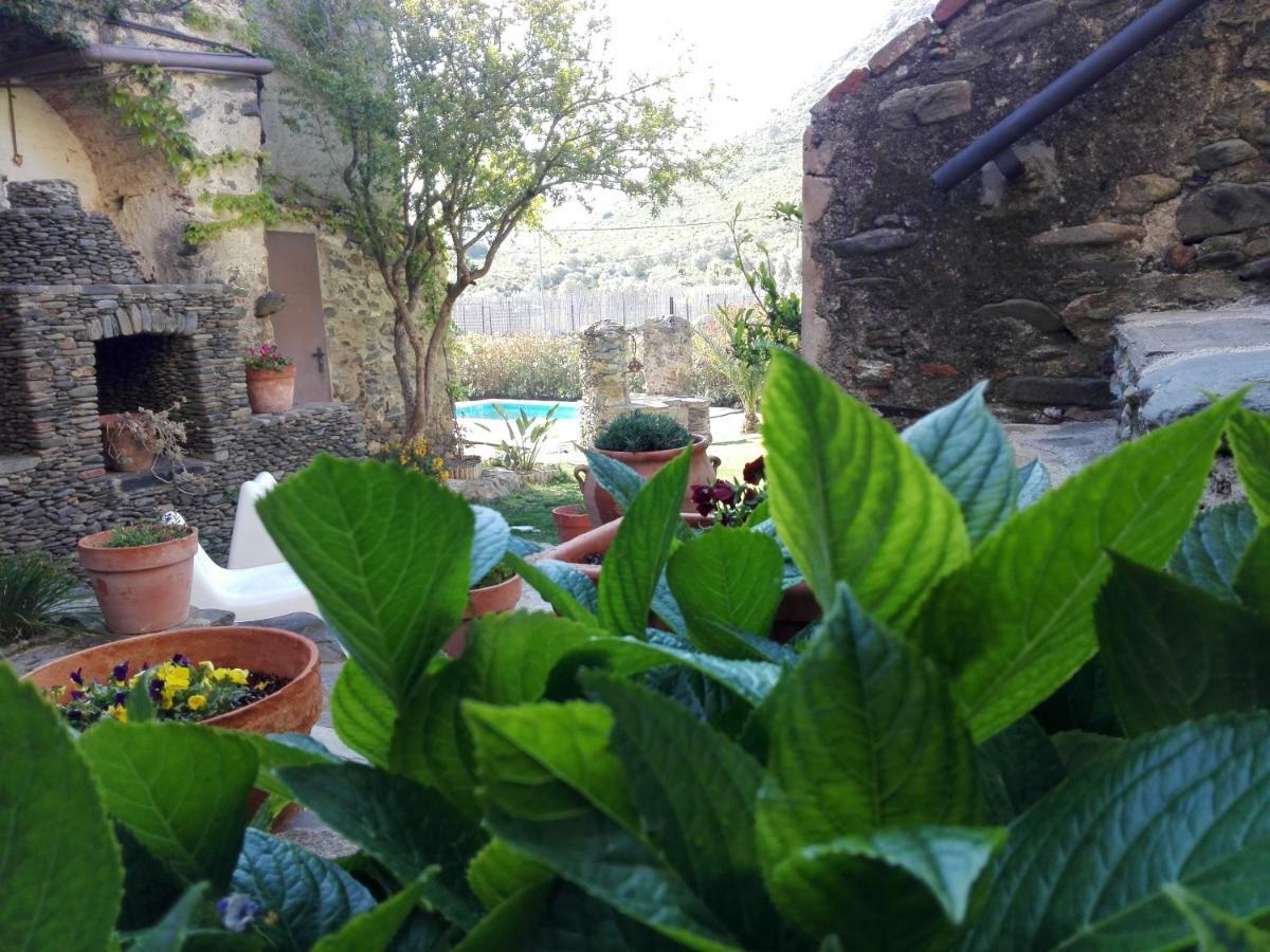 Can Pol Llançà Extérieur photo